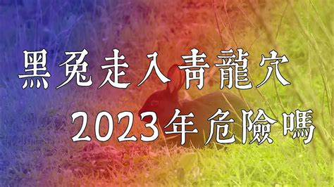 黑兔走入青龍|2024青龍年運勢好嗎、黑兔走入青龍穴是什麼意思？6…